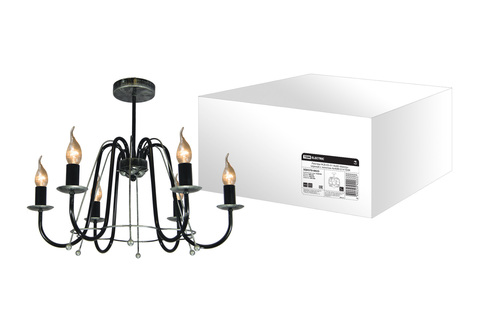 Люстра НСБ-11-03-6х40 «Контур» черный с серебром 6х40Вт E14 TDM Люстра НСБ-11-03-6х40 «Контур» черный с серебром 6х40Вт E14 TDM
